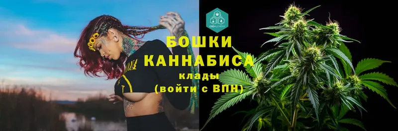 hydra рабочий сайт  Венёв  Каннабис индика 